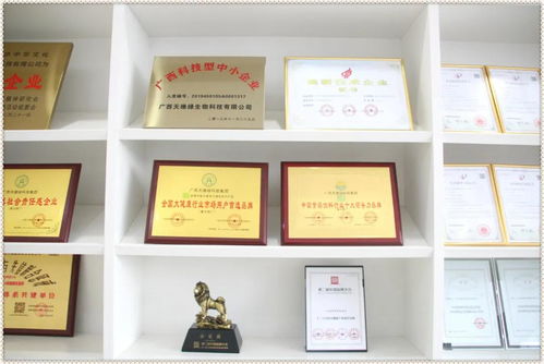 榮譽(yù)背后的含金量 一份嚴(yán)格到咂舌的技術(shù)牌照與技術(shù)咨詢